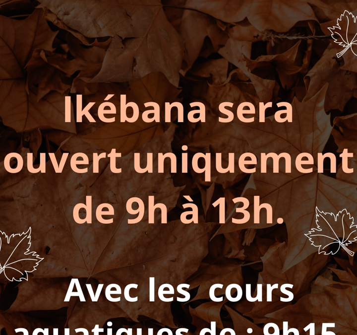 Le 11 novembre ouverture de 9h à 13h avec tous les cours aquatiques